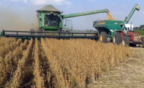 VIDEO | La provincia avanza con una agenda agroproductiva basada en maíz, frutas finas y viñedos