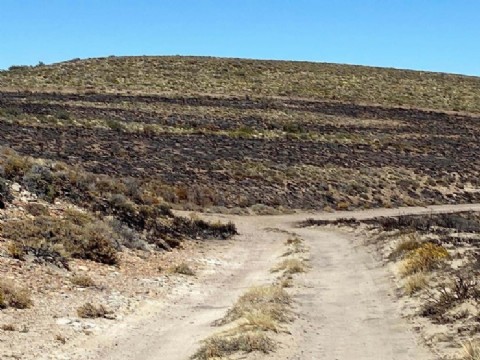 Tras el incendio en el yacimiento Cañadón Escondido de YPF, el Gobierno provincial supervisa tareas de remediación
