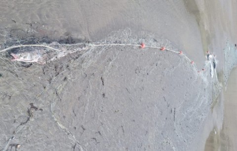 Refuerzan los operativos de fiscalización en zonas de pesca deportiva en la provincia