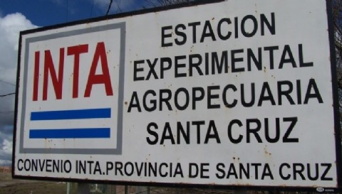 Silencio oficial ante el vaciamiento del INTA: el Gobierno de Santa Cruz mira para otro lado
