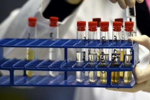 Proponen un examen toxicológico obligatorio para funcionarios y autoridades electas