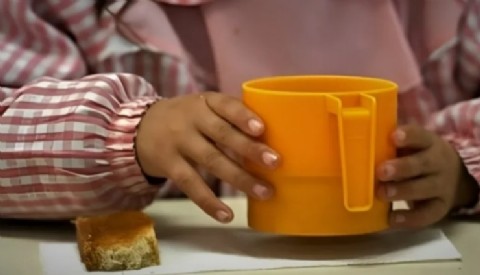 El Gobierno provincial definió la implementación de la Ley de copa de leche y refuerzo alimentario escolar