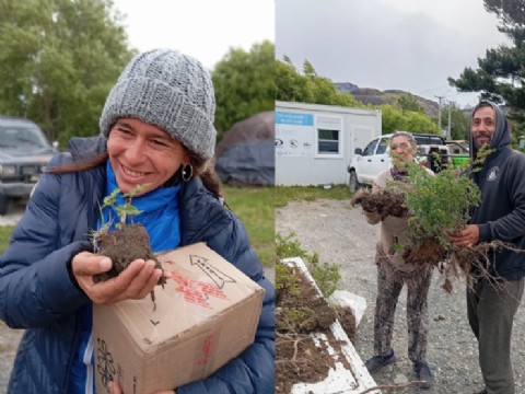 El Consejo Agrario Provincial acompaña trabajos de recuperación de especies nativas en la ruta