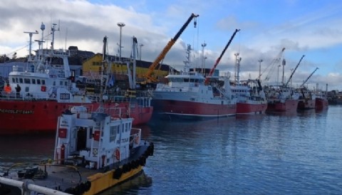 Puerto Deseado enfrenta su peor temporada de langostino y busca alternativas para reactivarse