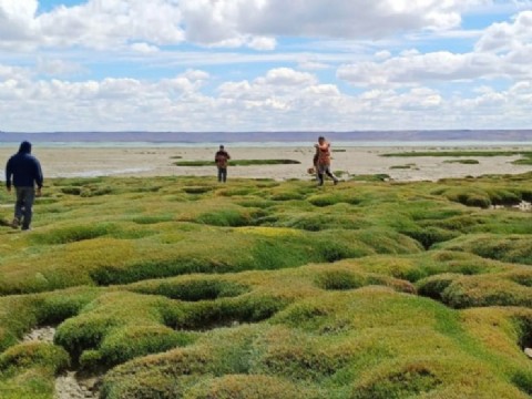 Amplio despliegue institucional en la búsqueda de Gabriel Mileca
