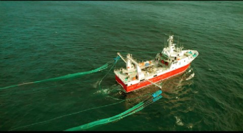 Santa Cruz suma observadores provinciales a la prospección de langostino