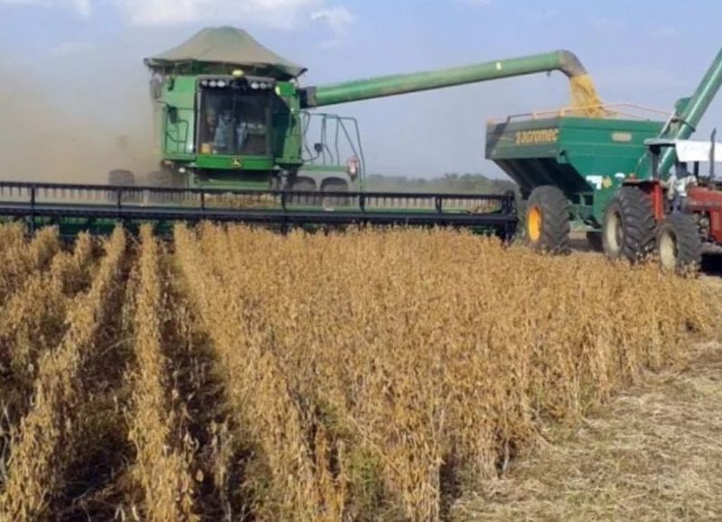 VIDEO | La provincia avanza con una agenda agroproductiva basada en maíz, frutas finas y viñedos