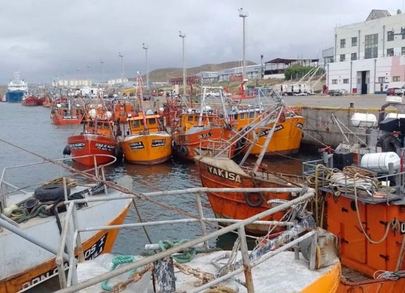 Santa Cruz avanza en pesca sostenible con nuevas regulaciones y mejoras portuarias