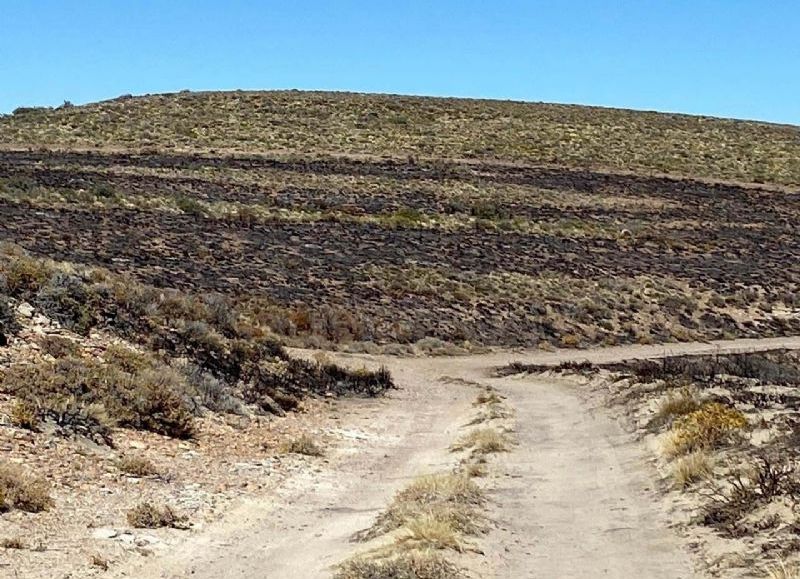 Tras el incendio en el yacimiento Cañadón Escondido de YPF, el Gobierno provincial supervisa tareas de remediación