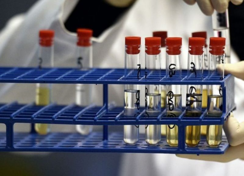 Proponen un examen toxicológico obligatorio para funcionarios y autoridades electas