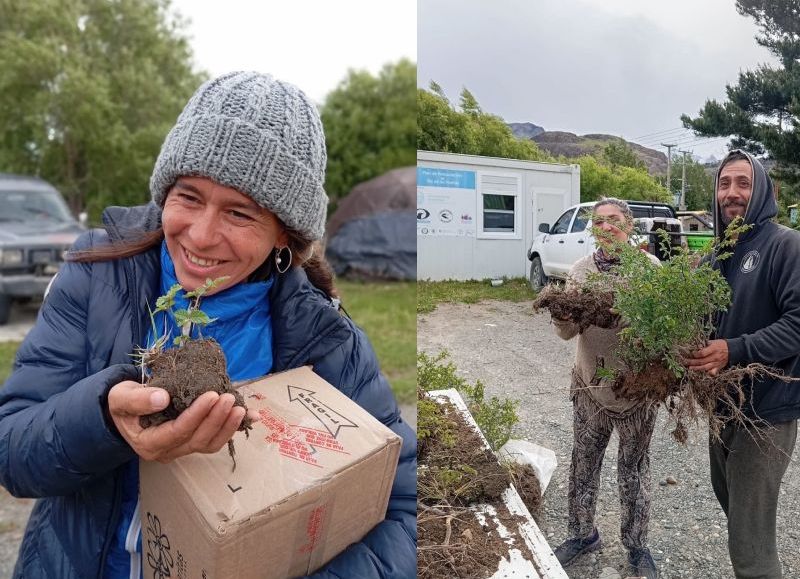 El Consejo Agrario Provincial acompaña trabajos de recuperación de especies nativas en la ruta