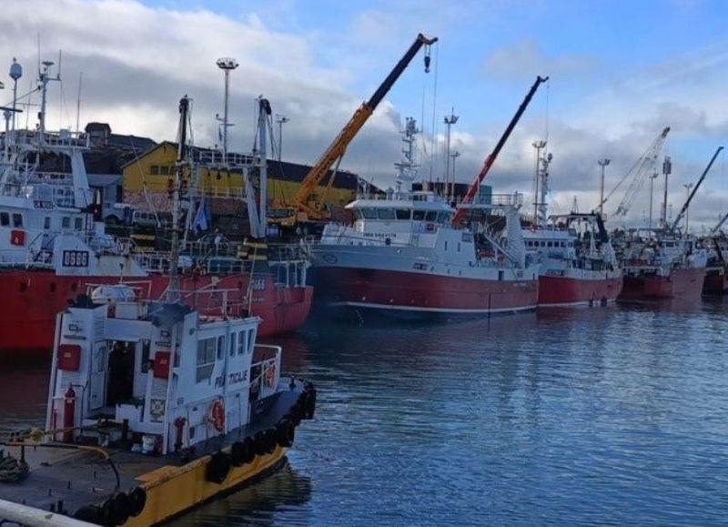 Puerto Deseado enfrenta su peor temporada de langostino y busca alternativas para reactivarse