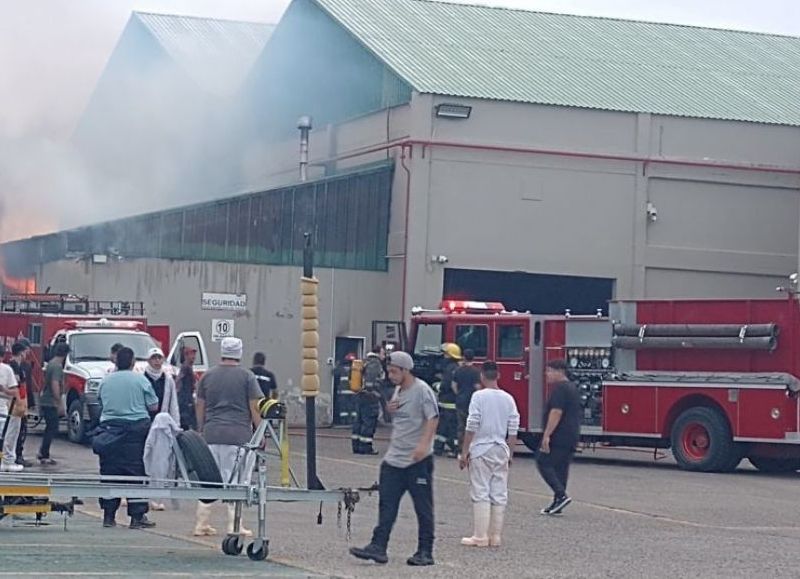 Puerto Deseado: las pericias determinaron que el incendio en la empresa Vepez S.A. fue intencional